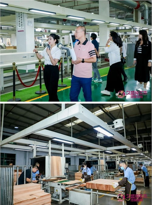 普及 0膠0醛純實木 ,久盛地板 工廠鑒證之旅 圓滿收官